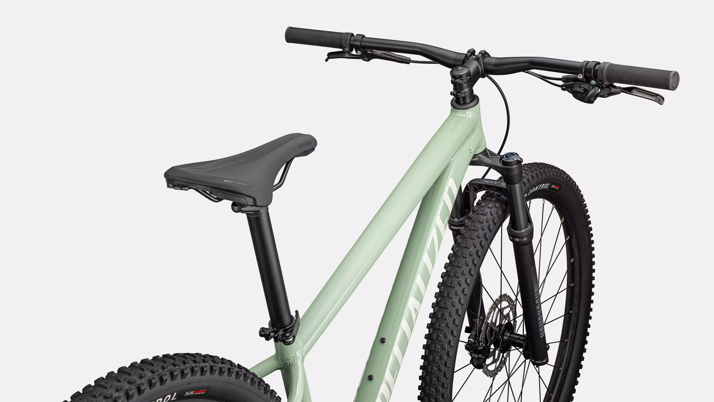 Specialized Rockhopper Comp 29