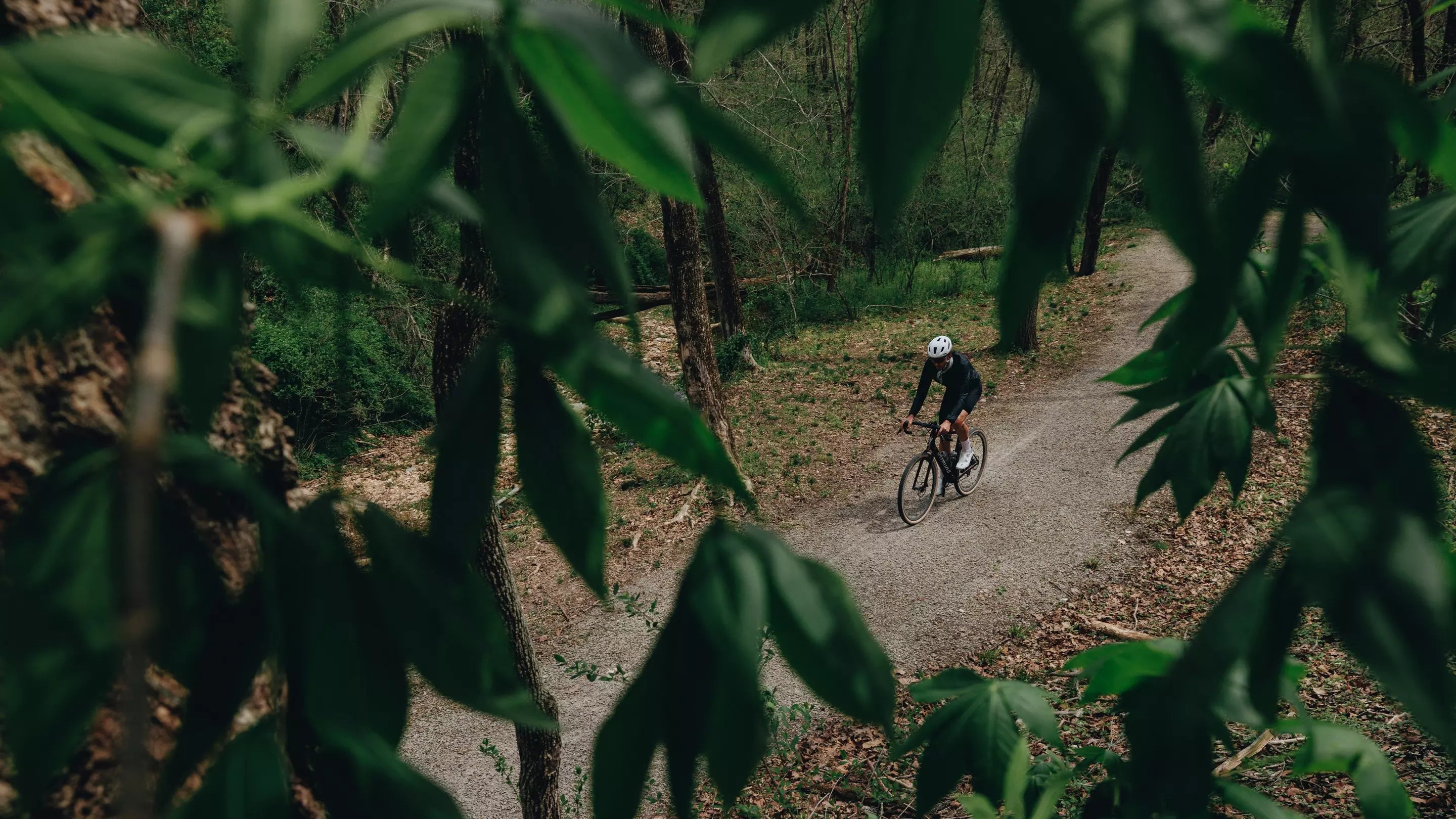 Diverge 4 Sport Alloy